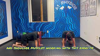 Quadruped Push up Plus Band Around Head