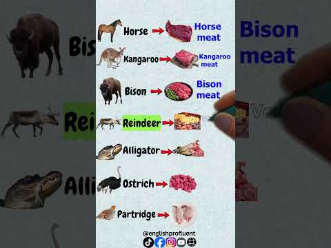 Thumbnail for the lesson: Animals and Meat Names: Essential English Food Vocabulary