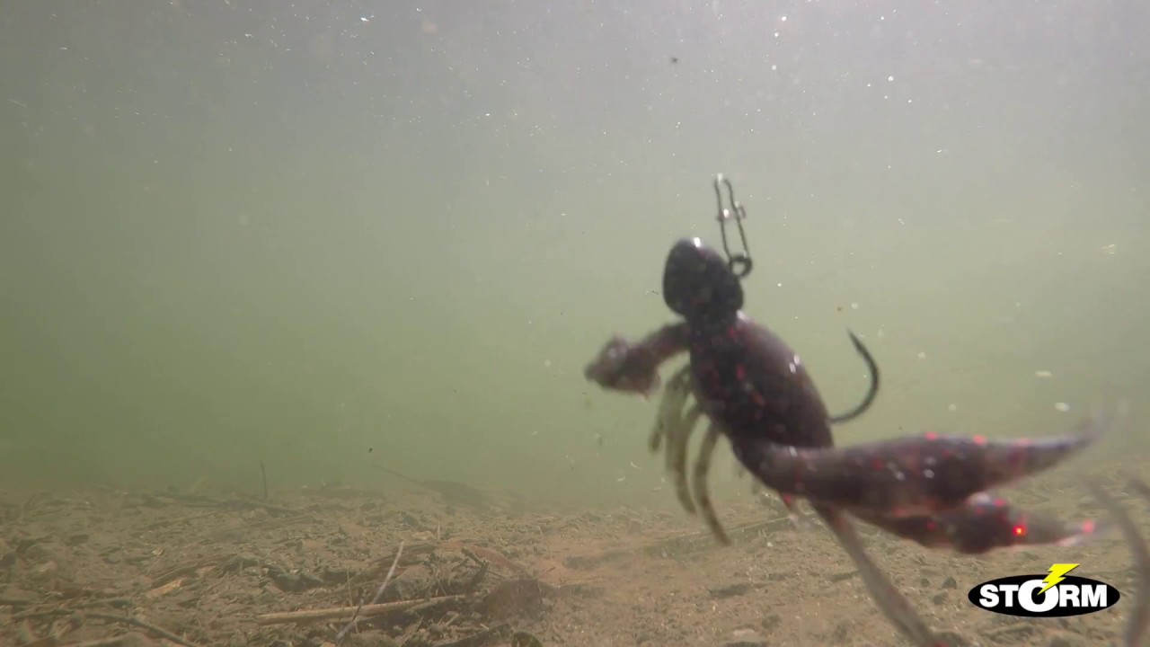 Storm So-Run Crayfish Pro Rig 7/12g Kräfta - YouTube