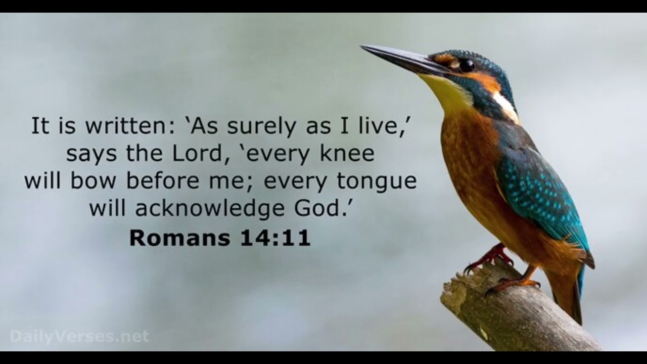 10th Special Bible Verse Of The Day (CHECK DESCRIPTION!)