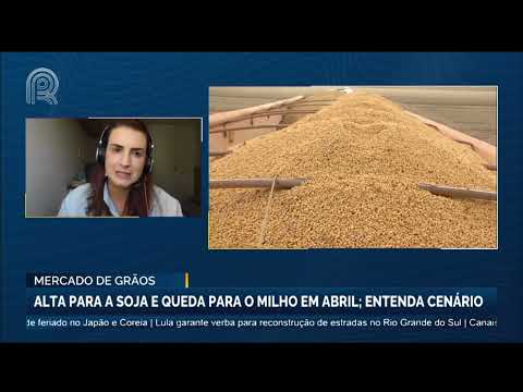 Tragédia no  Rio Grande do Sul: situação crítica no estado deve impactar produção de soja