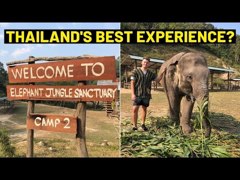 Ist Das Elephant Jungle Sanctuary Pattaya Ethisch?