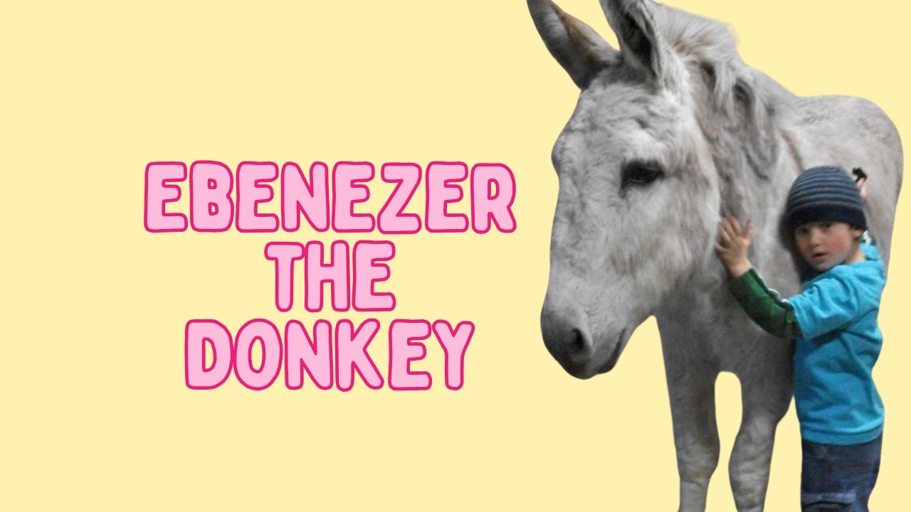 Ebenezer the Donkey: How One Community’s Favorite Donkey Changed a Family Forever