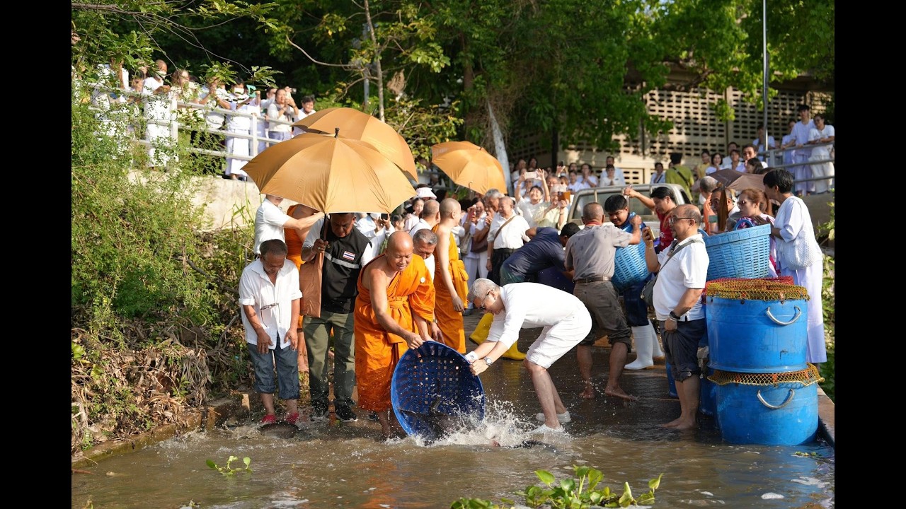 26. หลวงพ่อเจ้าอาวาส ปล่อยปลาและกบ เนื่องในโอกาสเจริญอายุวัฒนมงคล 61 ปี 07/03/69