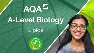 AQA A Level Biology: Lipids