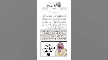 الآية(164) من سورة البقرة//القارئ الشيخ ماهر المعيقلي