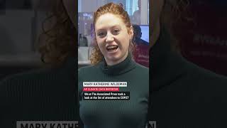 Almost 400 people with fossil fuel ties attended COP27, the world’s largest climate meeting