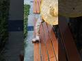 The Shocking Truth Behind Park Benches: Not Real Wood! | Wood Grain Painting Technique #shorts
