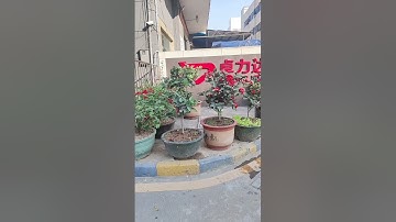 Coffee Filter Screen Double Sided Half Etched Manufacturer#Metal etching #Stainless Steel Etching