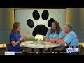 Dog Fest fundraiser set for Bangor's dog park July 12