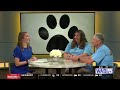 Dog Fest fundraiser set for Bangor's dog park July 12