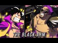 One piece  amvasmv  the black arm  zephyr tribute 