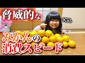 【有田みかん】１週間で7.5kgのみかんを食べる娘【食べすぎ】