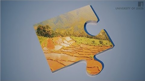 Environmental Challenges: Justice in Natural Resource Management