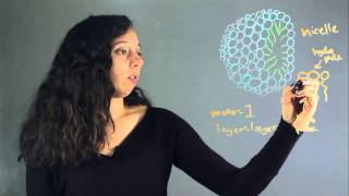The Importance of Monolayers in Chemistry : Lessons in Chemistry