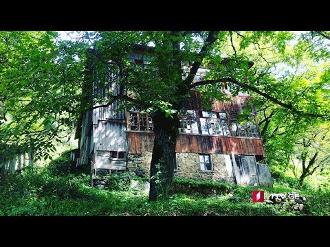 ფესტივალი “ბეჩა ყირამალა”