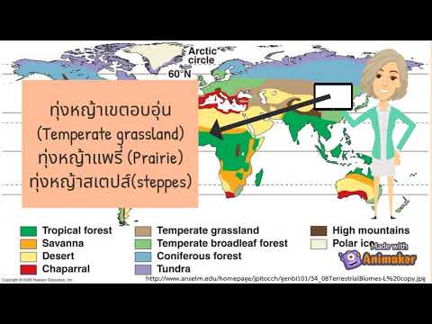 วีดีโอ: ไบโอมทุ่งหญ้าตั้งอยู่ที่ไหน?