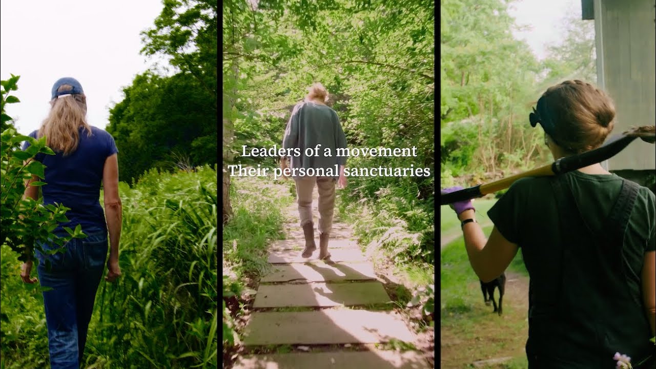 3 райских уголка на заднем дворе, доказывающие, что природе место дома | Трейлер сериала «Прогулк...