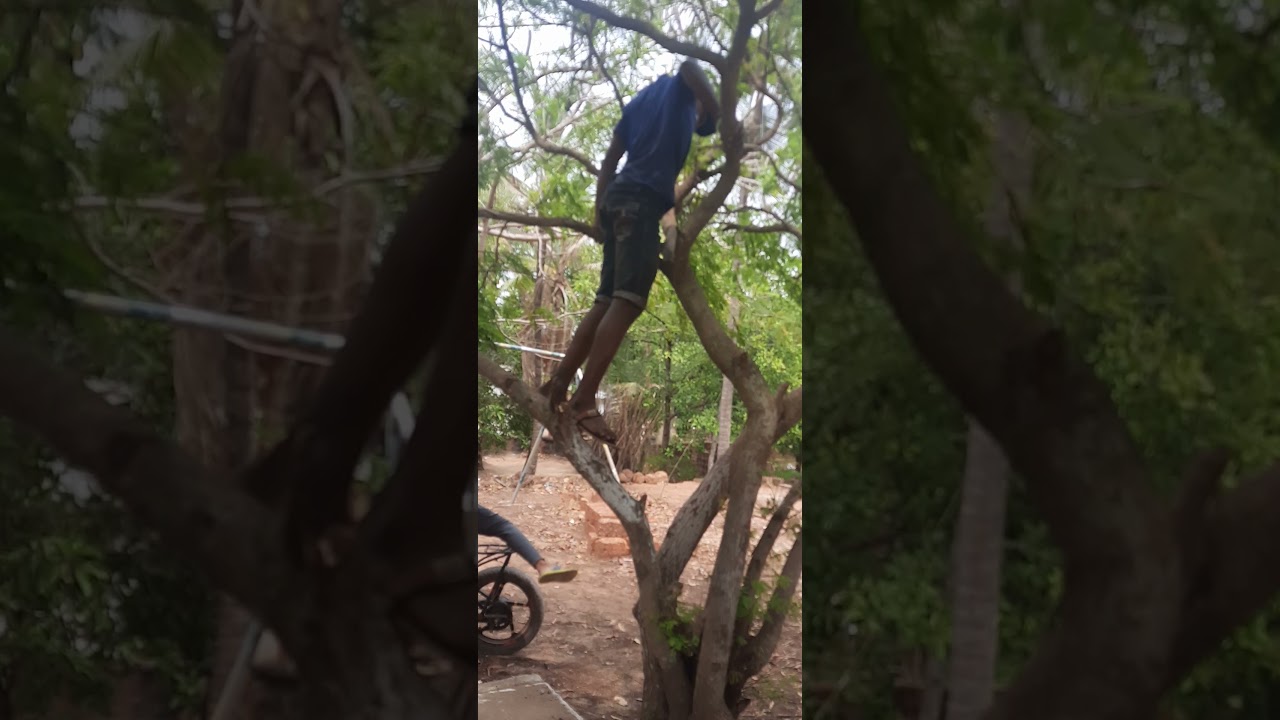 Parkour In Kerala 😎