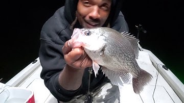 Night Life - Fishing Lights 101