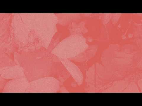 Aisha Badru Nevermind Audio Vacancy EP 