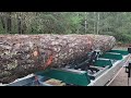 Woodland mills hm130max 12000lb winch driven log turner first test run