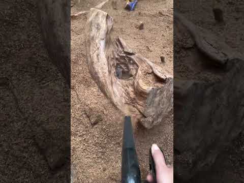 Mẹo nuôi tuyết ngọc am cho khách