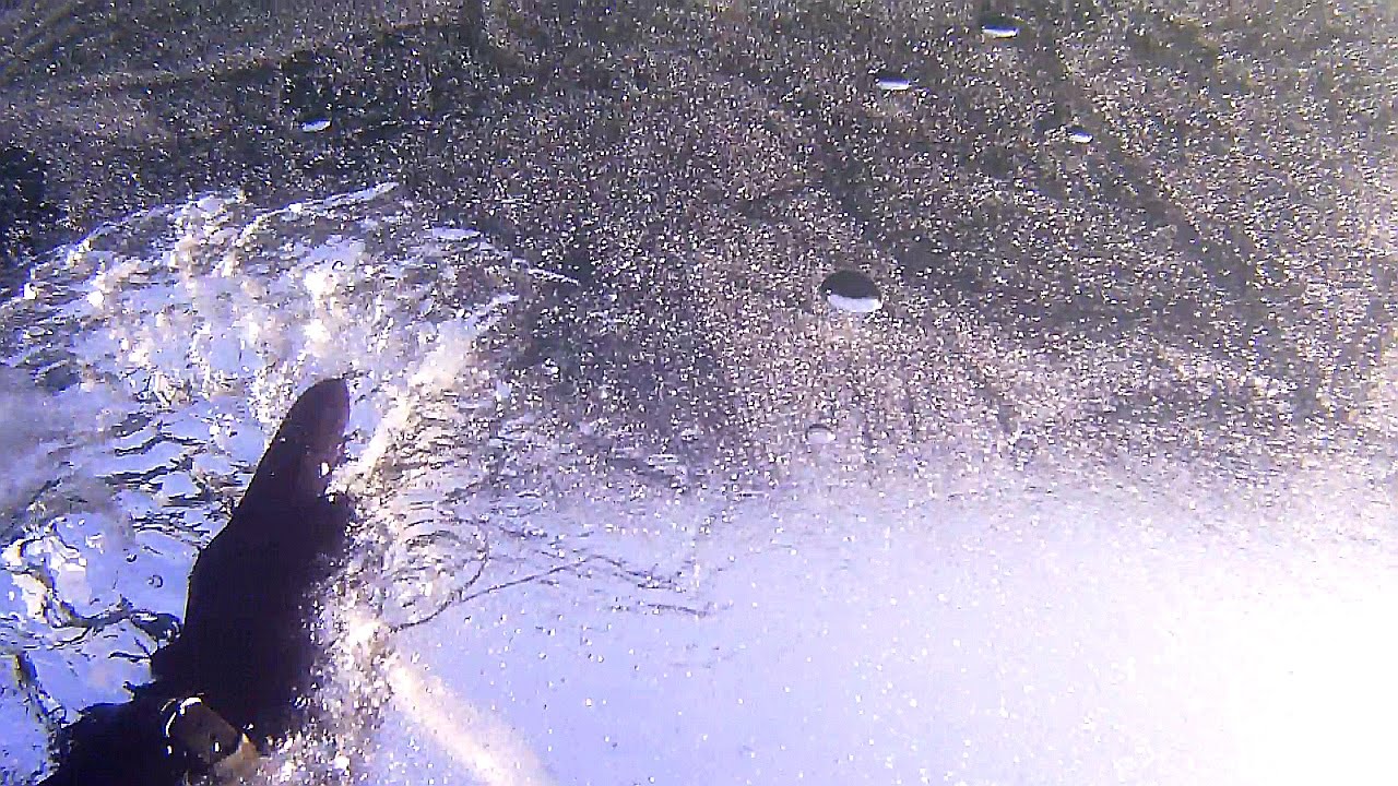 Icebreaker Lodołamacz Zakrzówek 14.02.2015