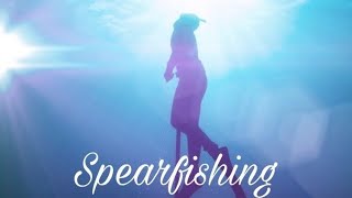 Zencelad - Fishing New Caledonia - Le Snark - Spearfishing