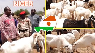Niger 🇳🇪 Ragunan Laiyya Sunyi Sada Ministan Kasuwanci Yayi Magana