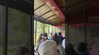 Cinderella Showing Off! The Dollywood Express!