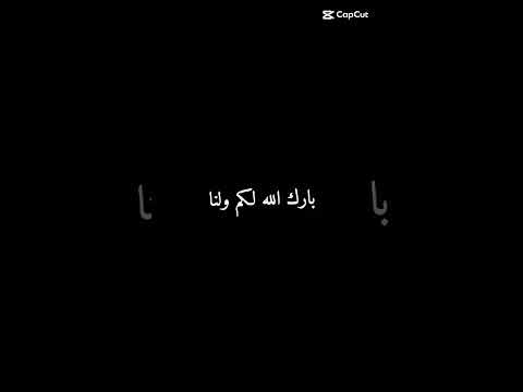 سلیم کیف آڈر