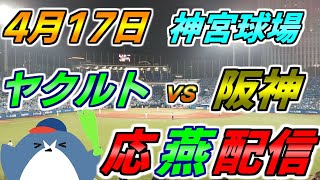村上宗隆選手、マイク・バウマン投手合流！【ヤクルトスワローズ × 阪神タイガース】2025.4.17 応燕配信 ヤクルトライブ @ 神宮球場