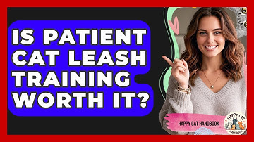 Is Patient Cat Leash Training Worth It? - Happy Cat Handbook