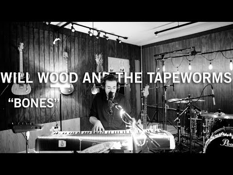 LIVE IN STUDIO - Will Wood and the Tapeworms - \