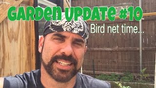 2016 Backyard Garden Update #10