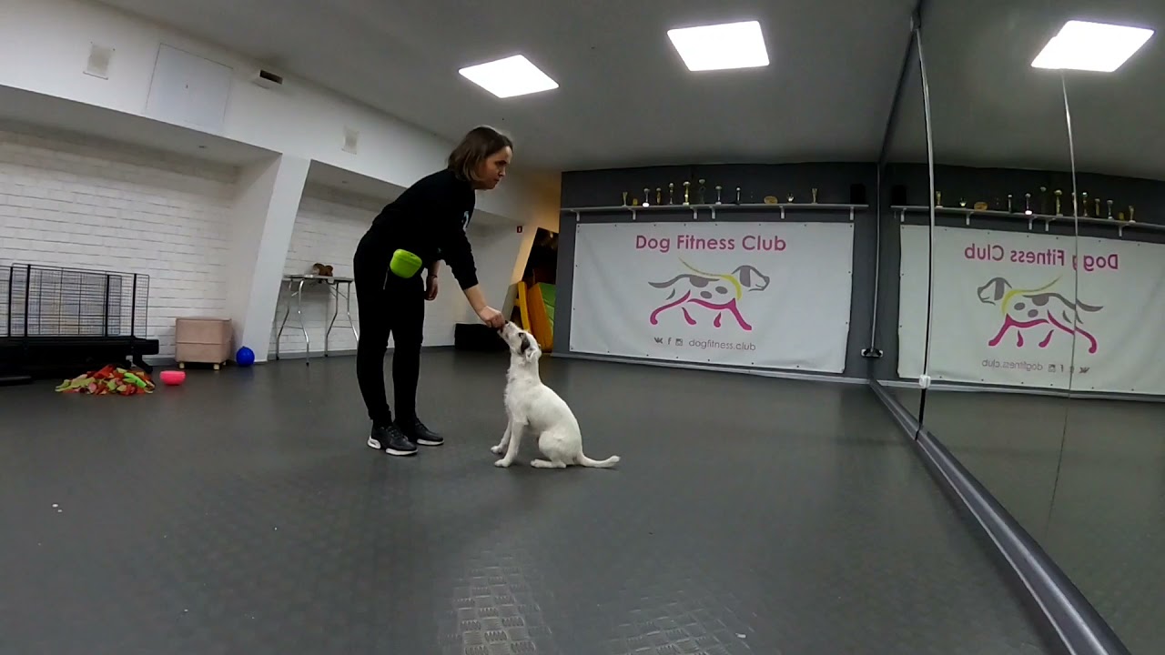 Протокол релаксации Оверолл