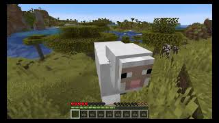 video quality test 2