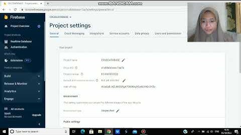 Input Data di Firebase dengan Kodular