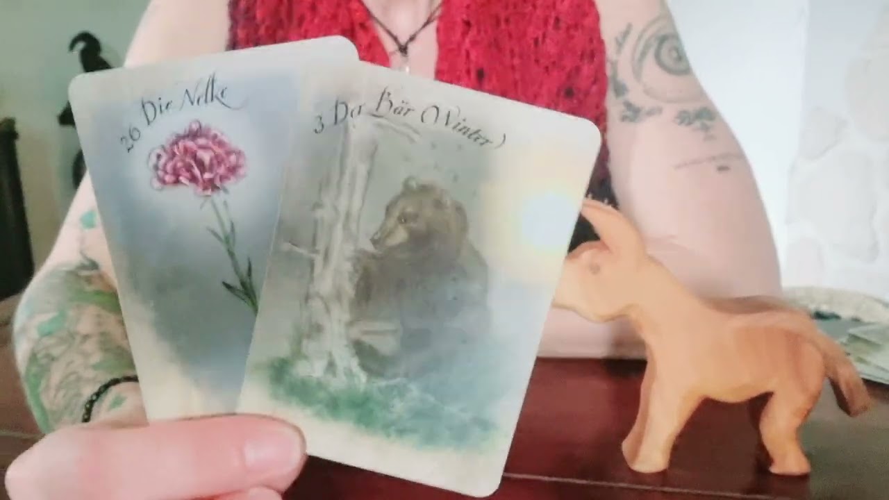 🐓...🫏🐕🐈‍⬛ #Begegnung in 