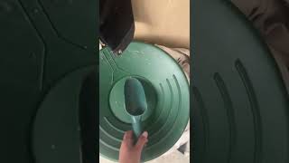 Panning For Gold! #fyp #like #subscribe #goldpanning #sluicebox