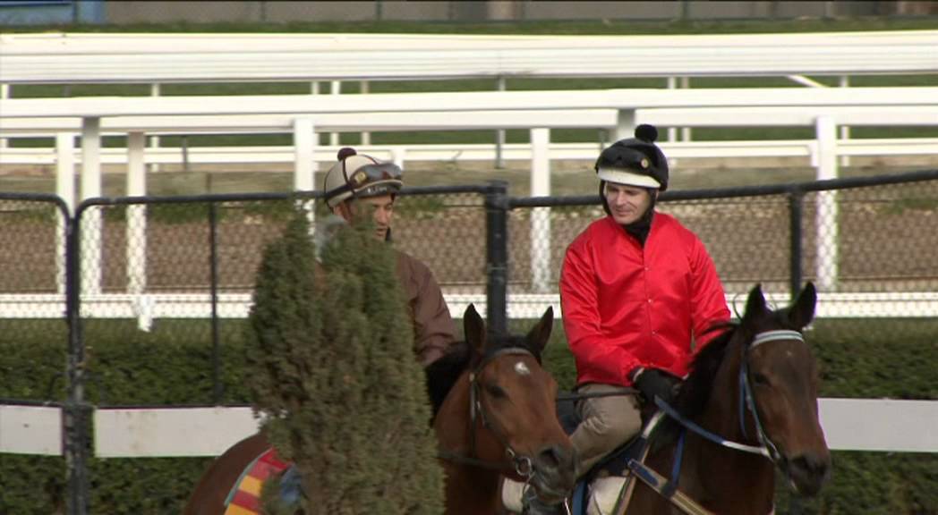 Racing World Daily Bite (Episode 1) - Melbourne Spring Racing Carnival