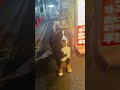 【入りたいシリーズ‼️】人形町はバーニーズが気になるお店だらけ…
