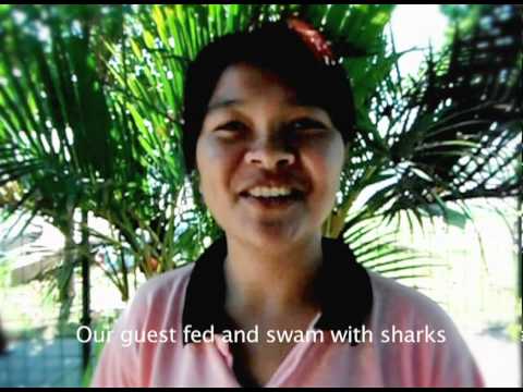 video phone beyonce mp3 AlamTV 30 sec Bali Sharks spot - Bahasa w/ Eng. subtitles