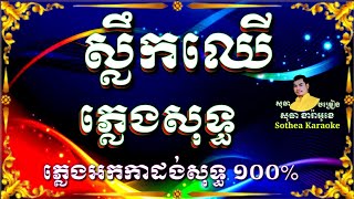 ស្លឹកឈើ karaoke ភ្លេងសុទ្ធ Slek Chher pleng sot, karaoke Khmer, Khmer karaoke,