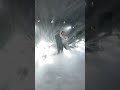 Красивый первый танец на свадьбе от «Дома Событий Алёны Сахно».       a-sakhno.com
