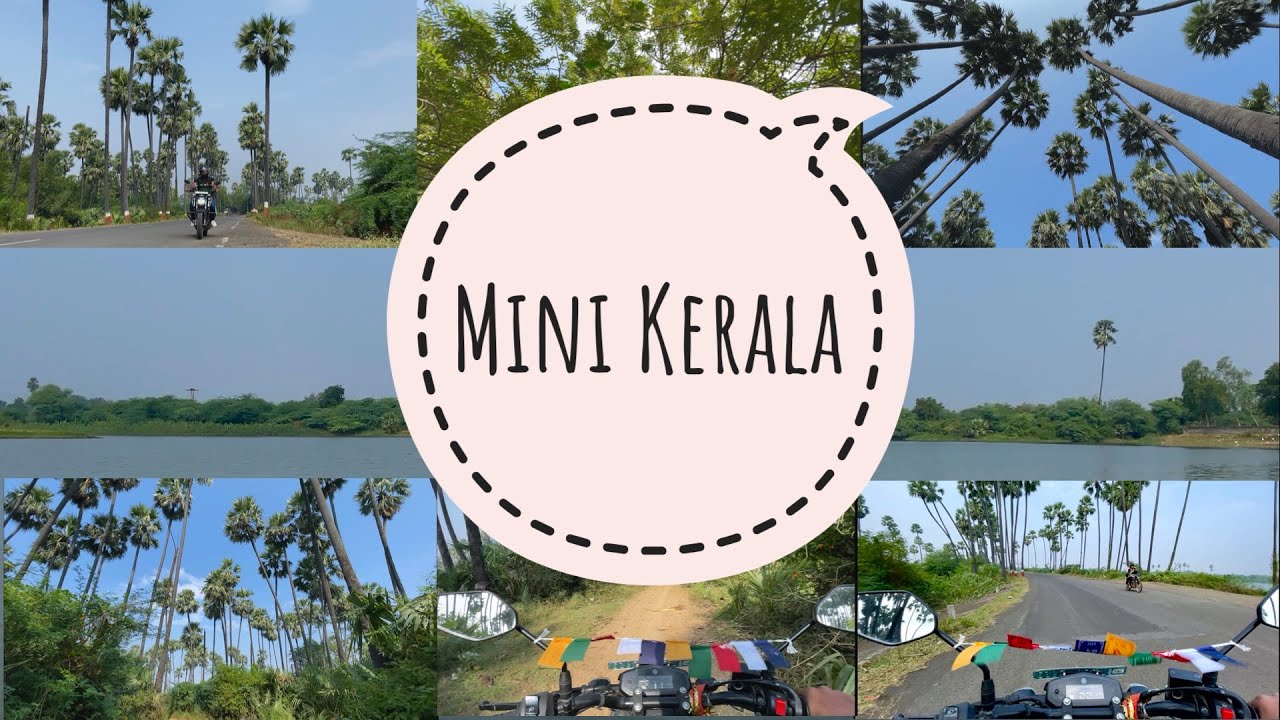 Mini Kerala of Gujarat | Neja | Best Place in ONGC Cambay | Khambhat | ખંભાત | Anand | Vlog | 4K