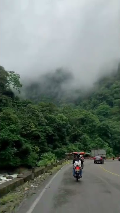 MELEWATI HUTAN YANG BERKABUT | HALU STORY #shorts  #storyhalu #storyig #storywa