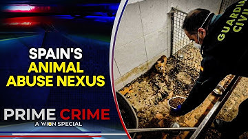 Spanyol: Lahan Tersembunyi Ditemukan, Namun Ternyata Itu Kuburan | Kejahatan Utama | WION