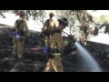 Firefighters Battle Brush Fire Along Highway 99 In Modesto, California - News Story